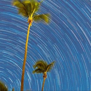 Meet your Posher, Frank